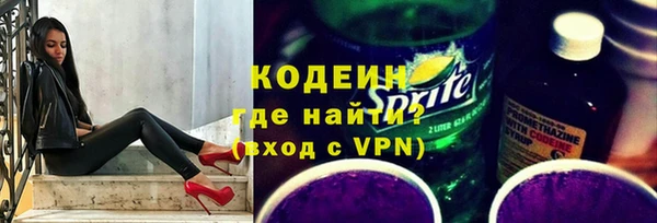 хмурый Мегион