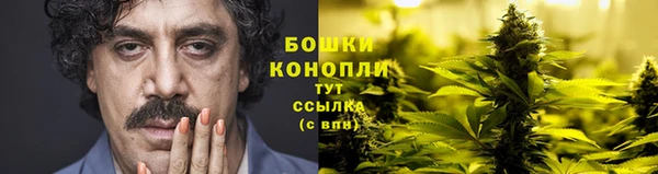 хмурый Мегион