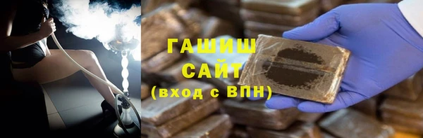 индика Горнозаводск