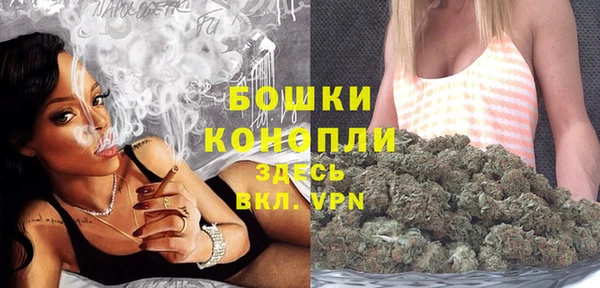 хмурый Мегион